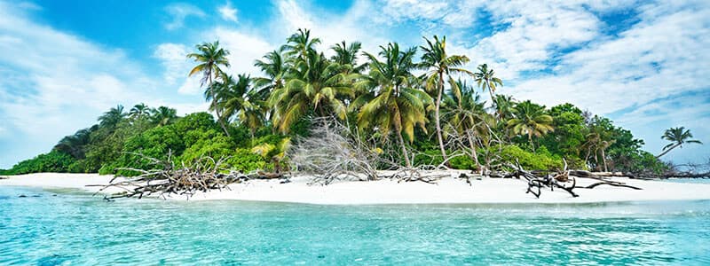 Build Trading Day With Basics, ‘Billions’ In Mind