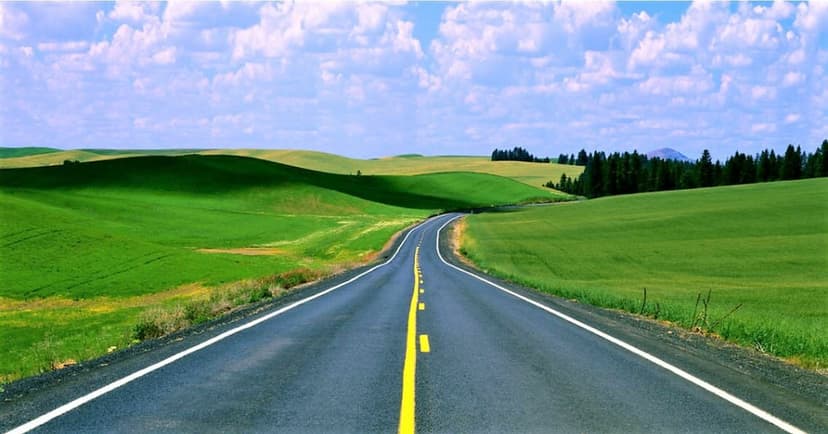 Market sets rules, paves its own path