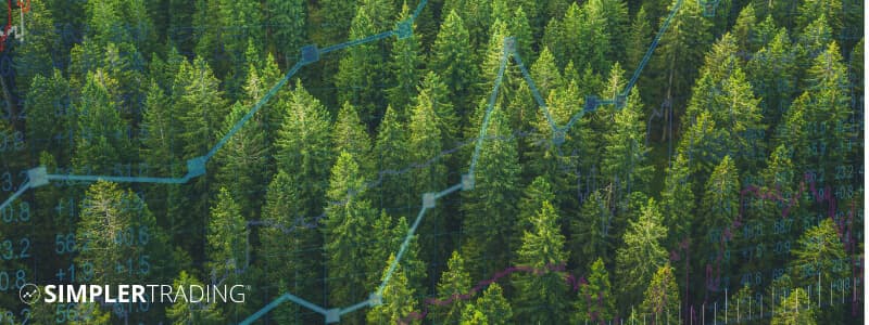 You Can’t See the Forest Through the Trees